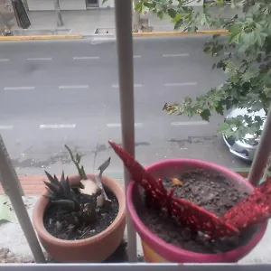 Séjour chez l'habitant Renova Tu Energia En, Mendoza